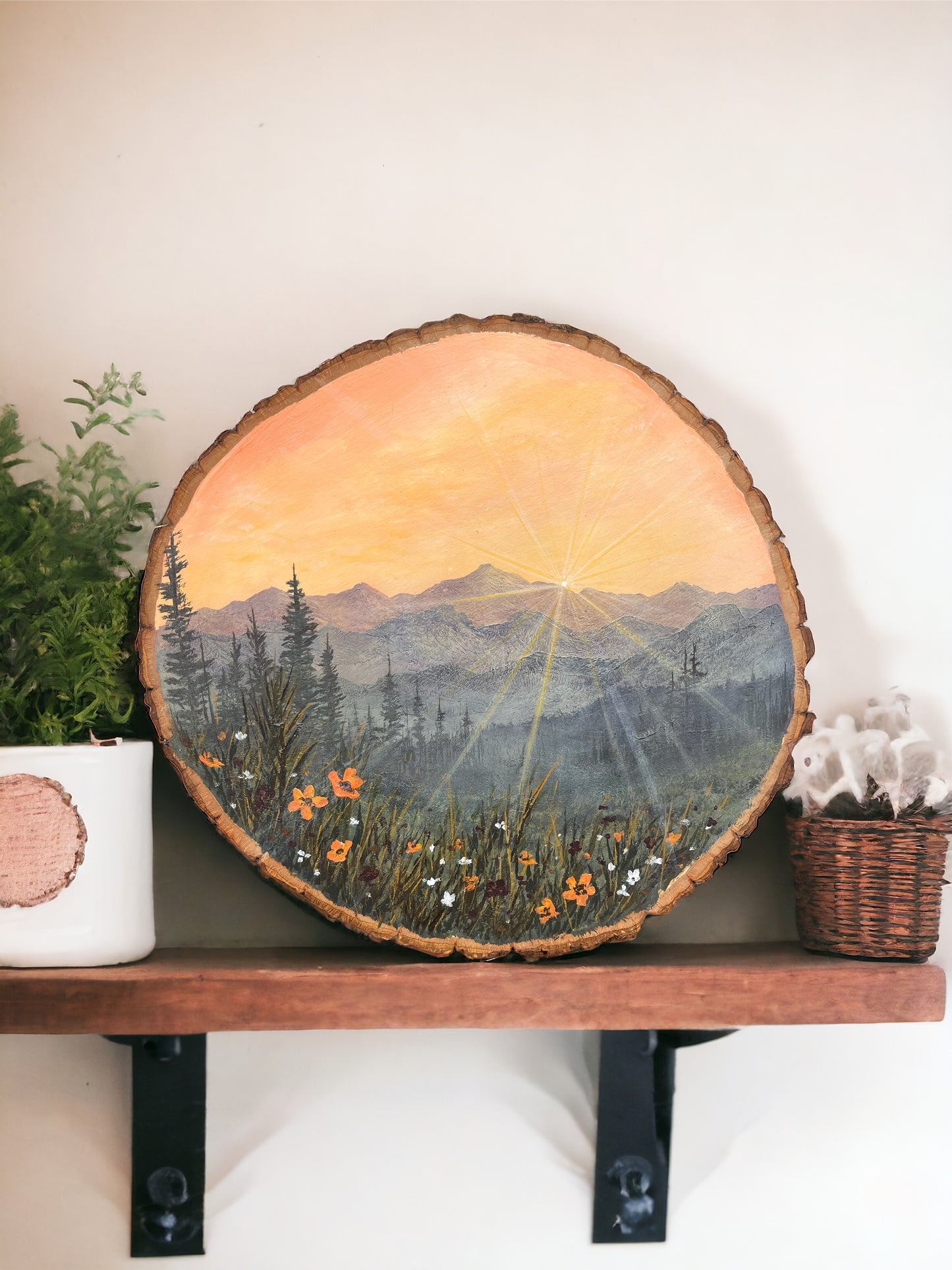 Coral Sunset