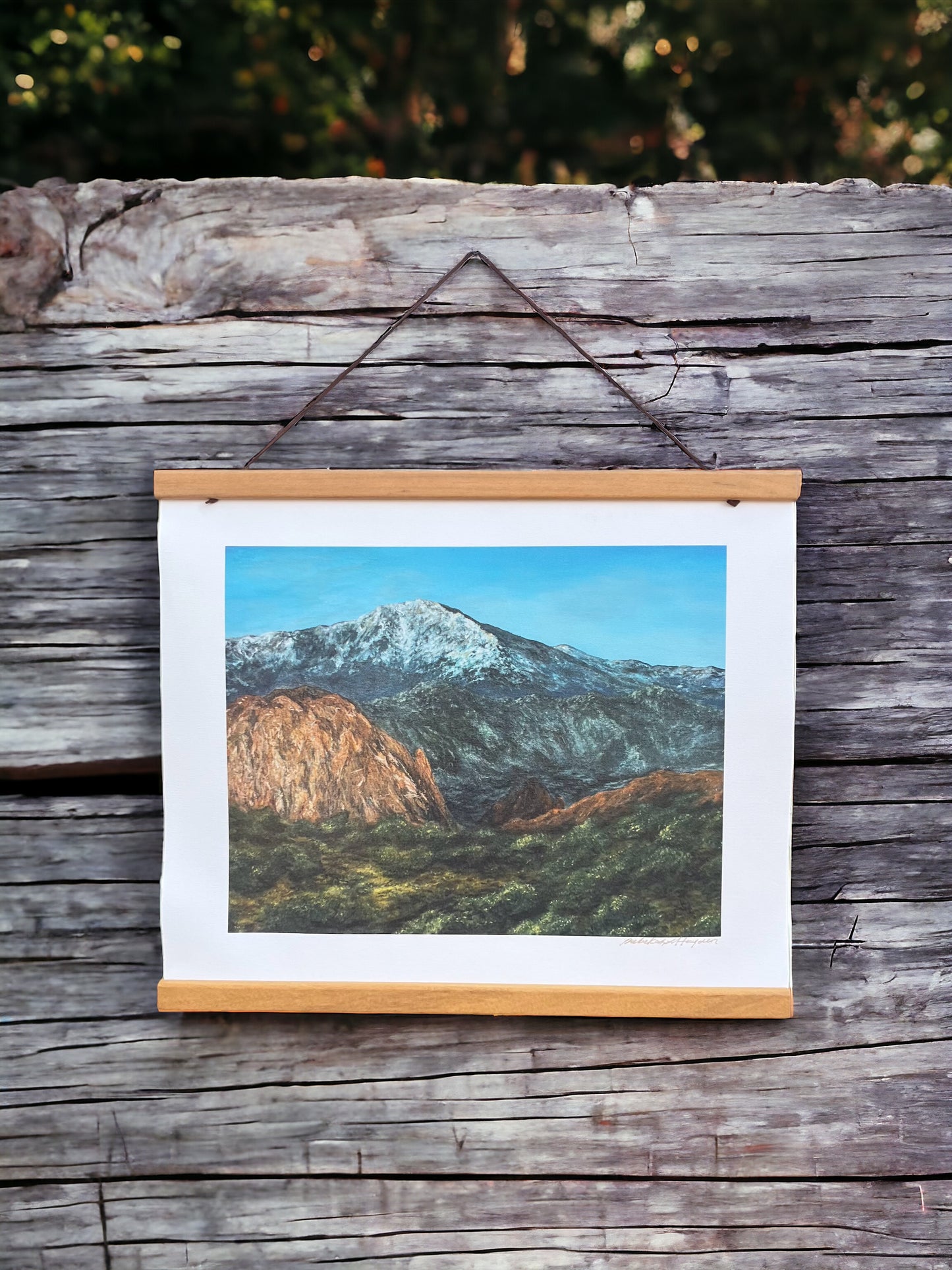 Pikes Peak and Garden of the Gods